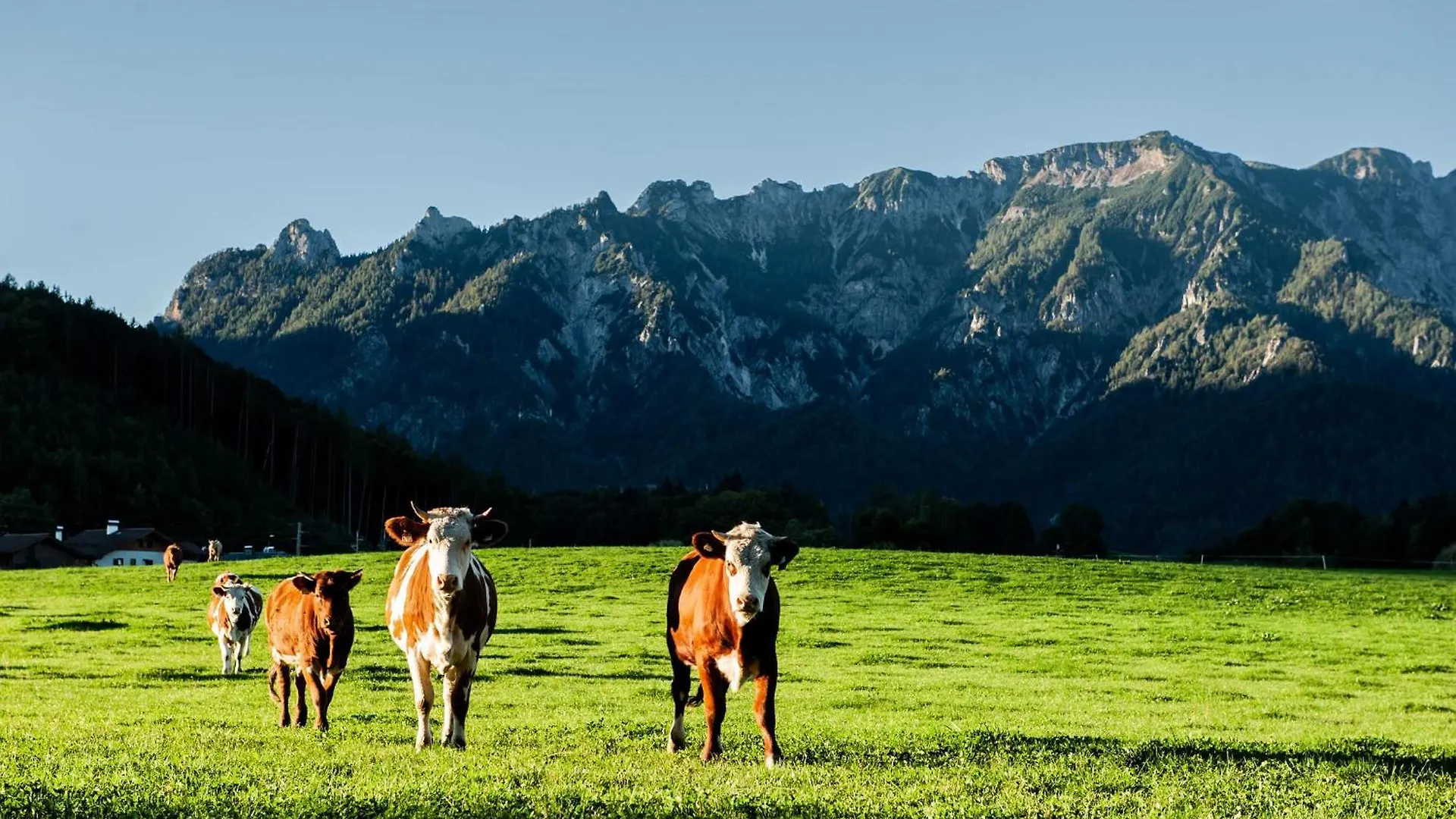 *** Gasthuis Gasthof Steinerwirt Großgmain Oostenrijk